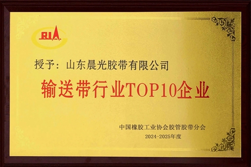 2025年輸送帶行業(yè)十強(qiáng)企業(yè)